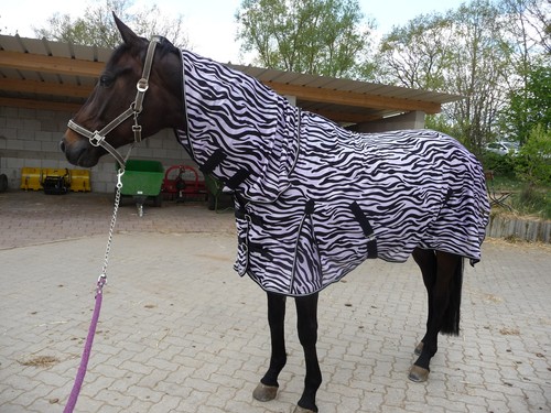Fliegendecke zebra 165 cm - **fliegendecke**zebra,