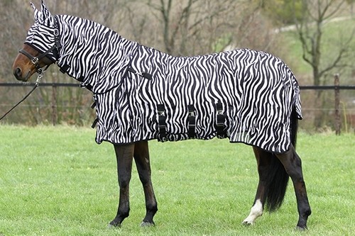 Fliegendecke zebra euroriding - fliegendecke,