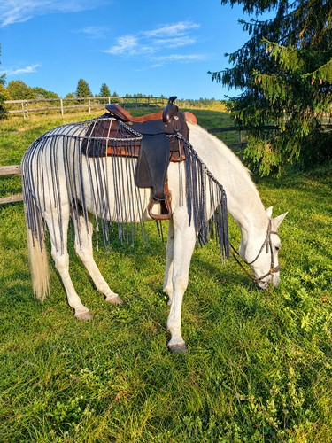 Fransenausreitdecke 155