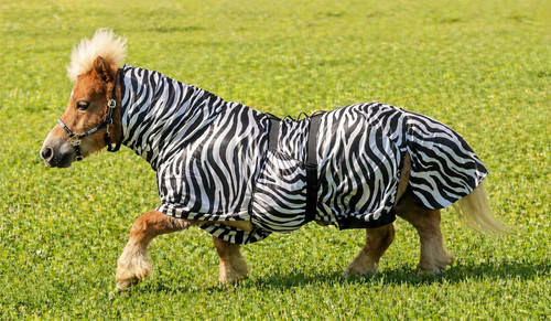Ekzemer fliegendecke zebra - ekzemer,