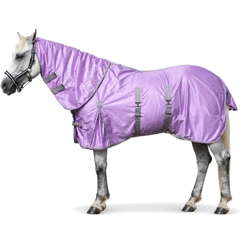 Pferd fliegendecke absorptive - fliegendecke,