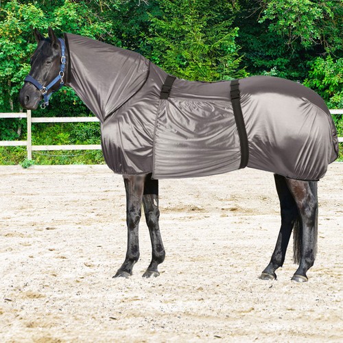 Sport ekzemerdecke - l-sport,